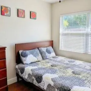 Spacious House With Big Backyard In N. Hyde Park / Close To Downtown , Tampa United States